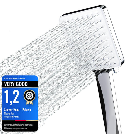Newentor Shower Head [TESTSIEGER], High Pressure Shower Heads with 6 Modes, Universal Water Saving Large Showerhead, Silver